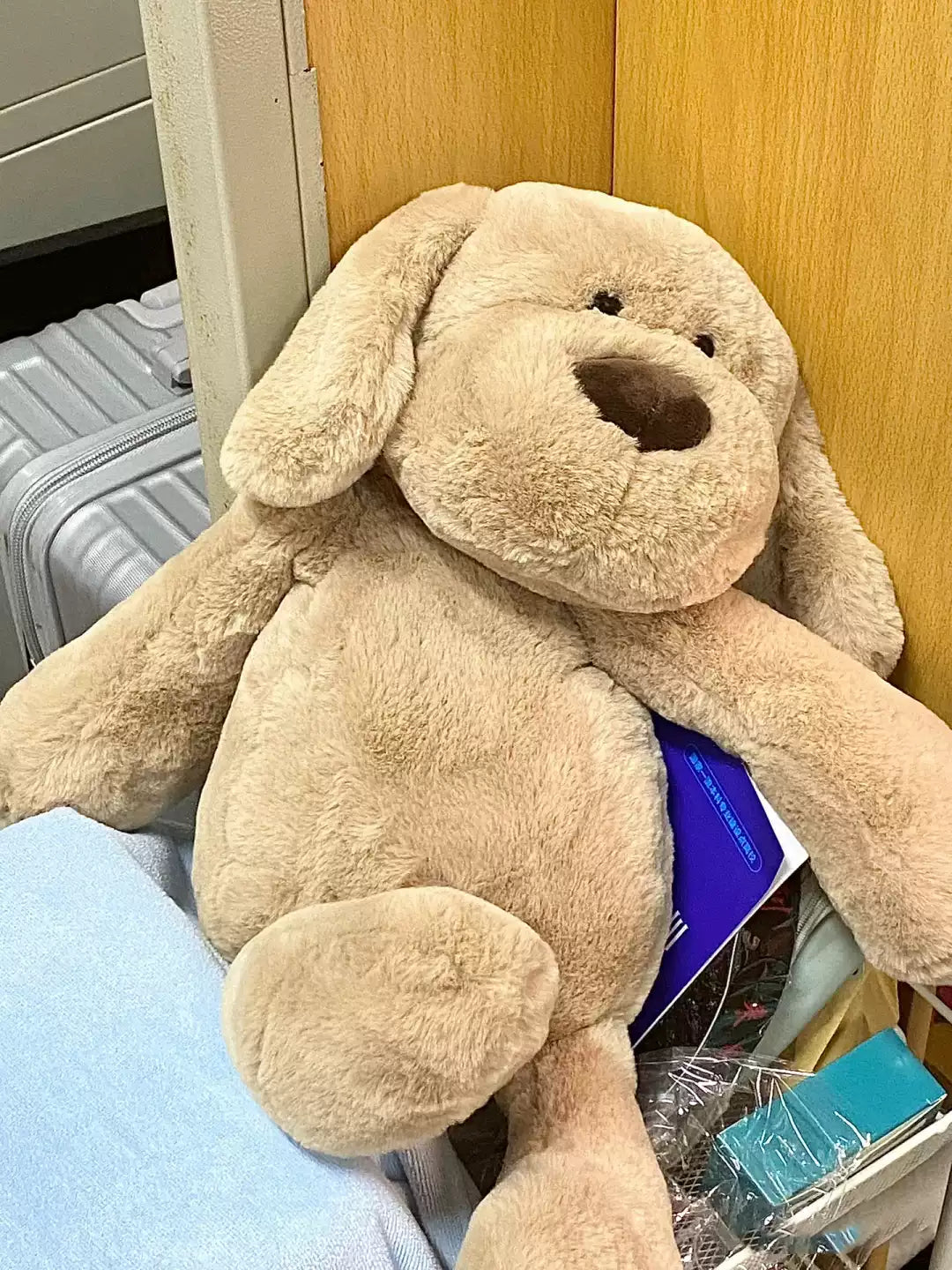 Gamelife Cute Anime Figurines